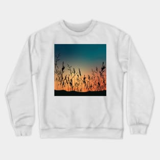 Sunrise Crewneck Sweatshirt